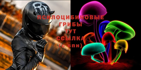 PSILOCYBIN Долгопрудный