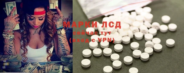 PSILOCYBIN Долгопрудный