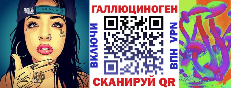 где продают   Богородск  Псилоцибиновые грибы Psilocybine cubensis 