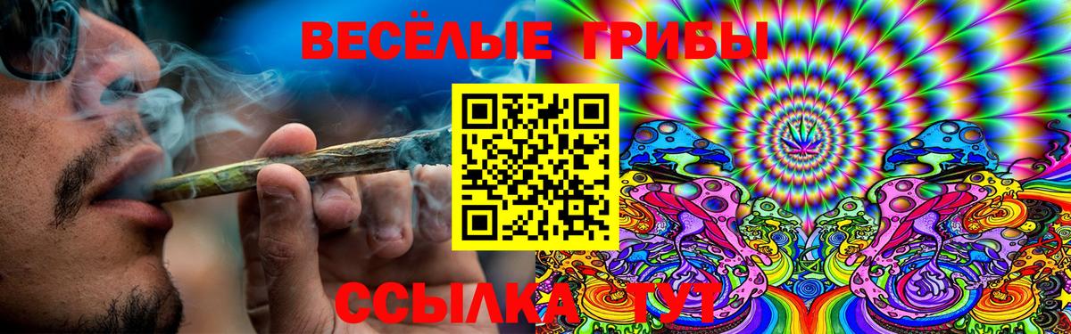 Галлюциногенные грибы ЛСД  Вход с VPN  Богородск 