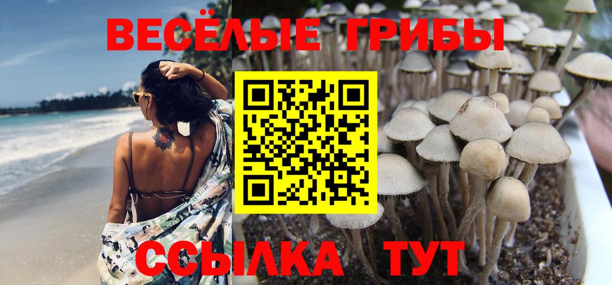 Галлюциногенные грибы GOLDEN TEACHER Богородск