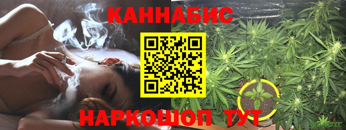 Бошки марихуана конопля Богородск