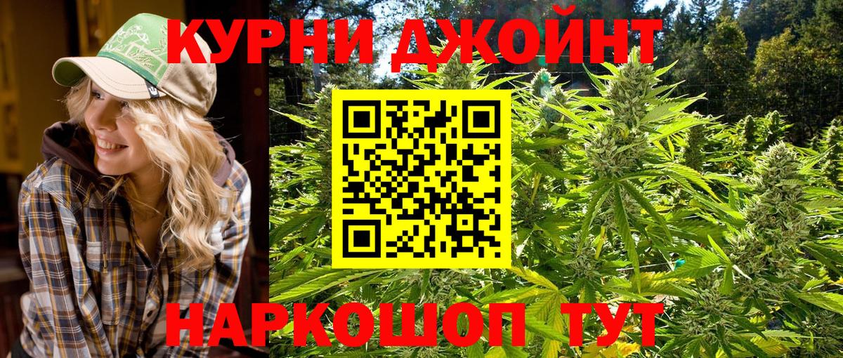 Конопля OG Kush Богородск